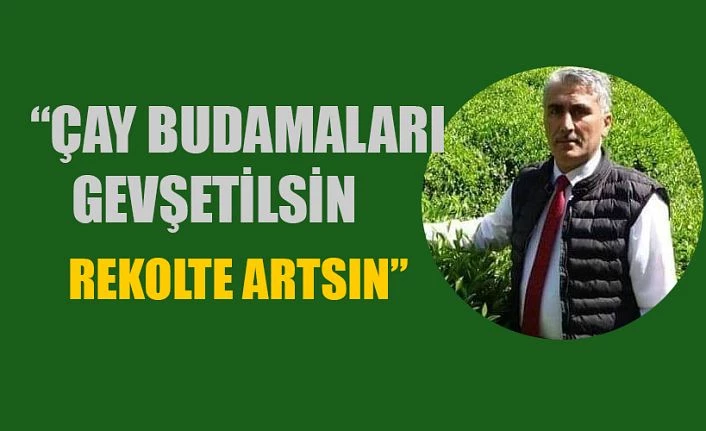 ÇAYÜDAD BAŞKANI MUSTAFA MAVİ; “ÇAY BUDAMASI GEVŞETİLSİN”