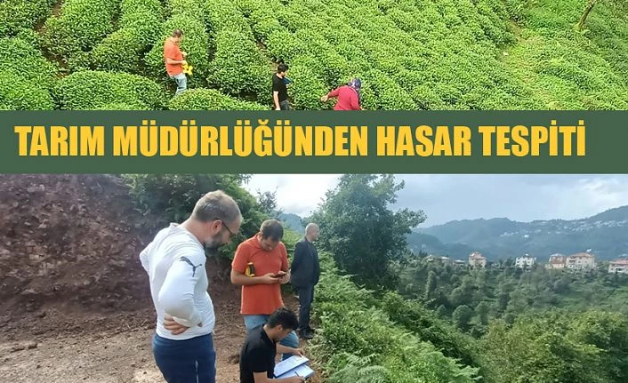 Tarım Müdürlüğü ekipleri hasar tespiti yapıyor