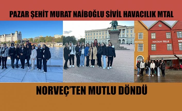 Norveç